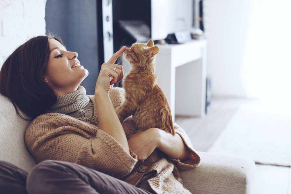 Woman touching cat's nose while cuddling