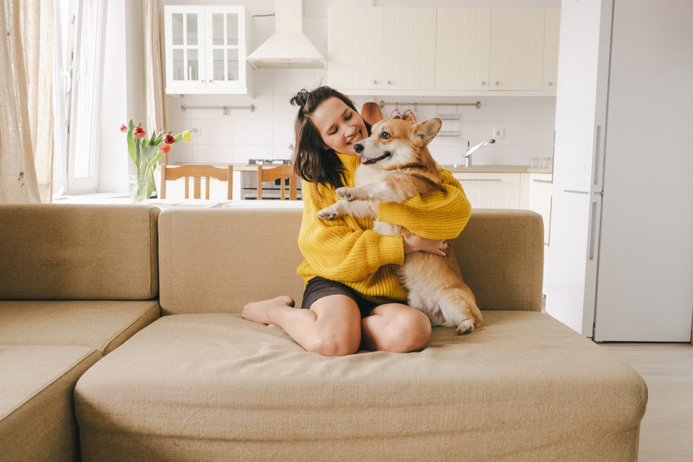 dog owner couch