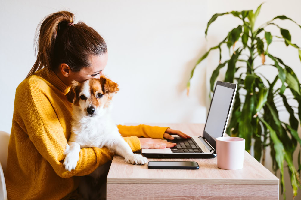 woman cuddling her pet dog while working on laptop