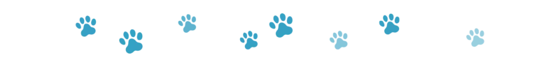 PGV Divider dog 1