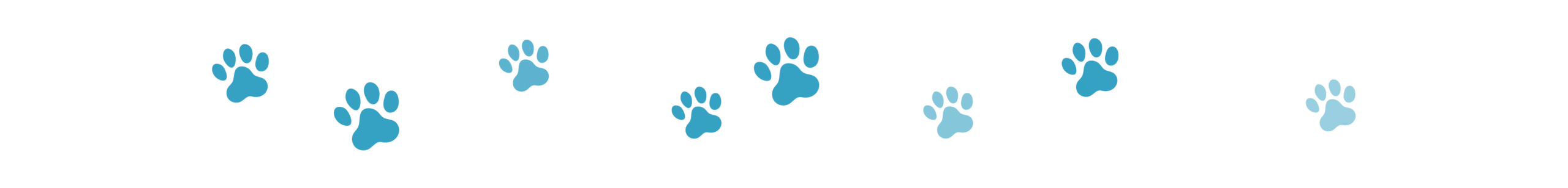 PGV Divider dog 1