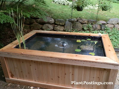 DIY above-ground pond