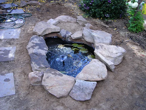 DIY fish pond or garden pond