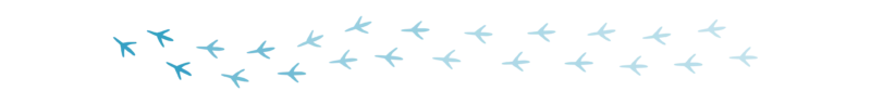 Divider_Bird Paw