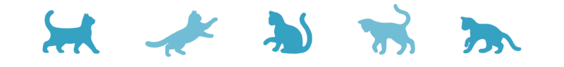 Divider Cats