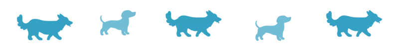 Divider_Dogs 2