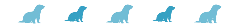 Divider_Ferrets 2