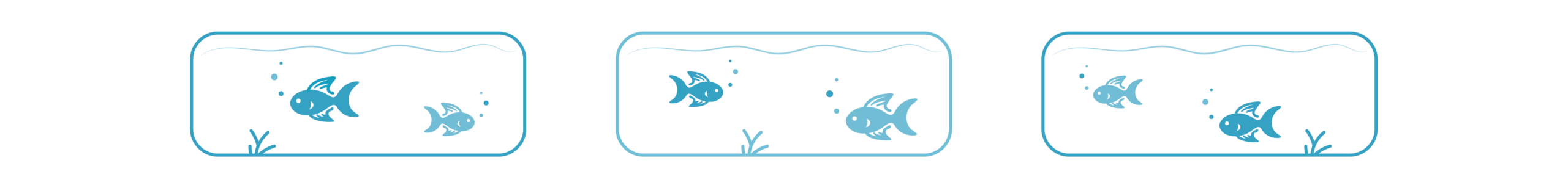 Divider_Fish Tanks
