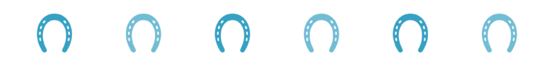 Divider_Horse Shoes