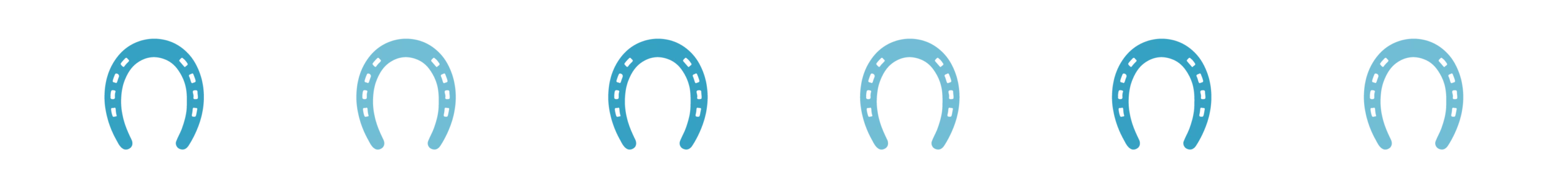 Divider_Horse Shoes