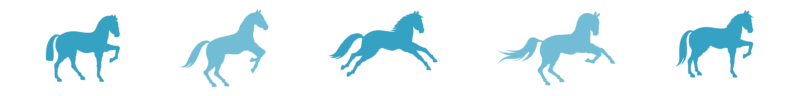 Divider_Horses