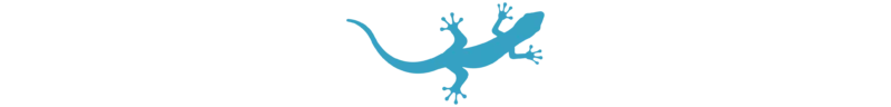 Divider_Lizard