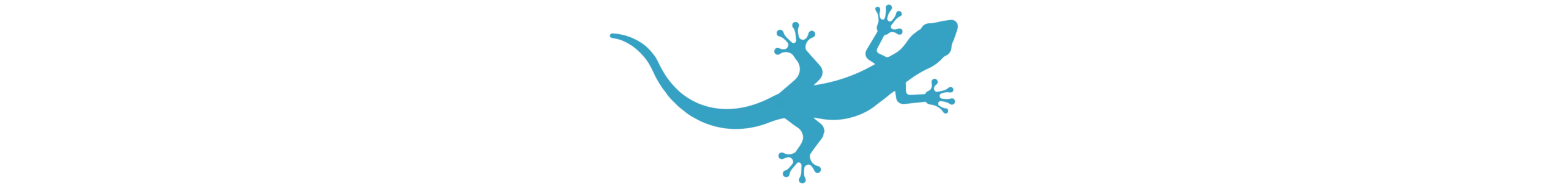 Divider_Lizard
