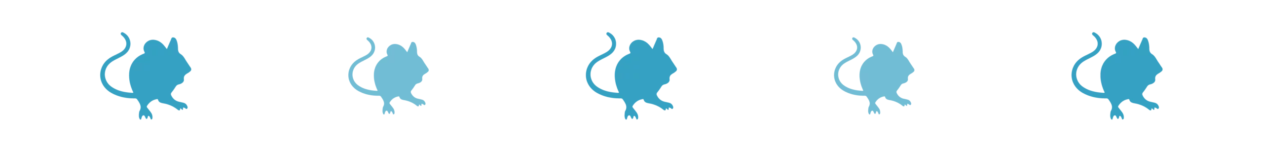 Divider_Mouse_rodent