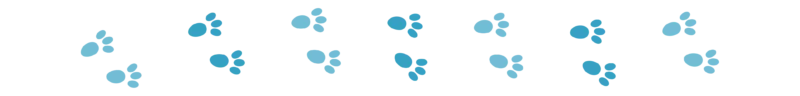 Divider_Rabbit Paw