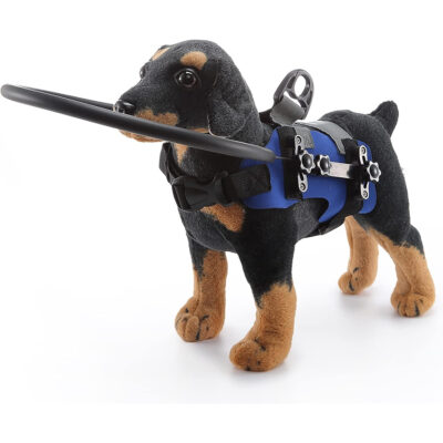 GabeFish Dog Halo