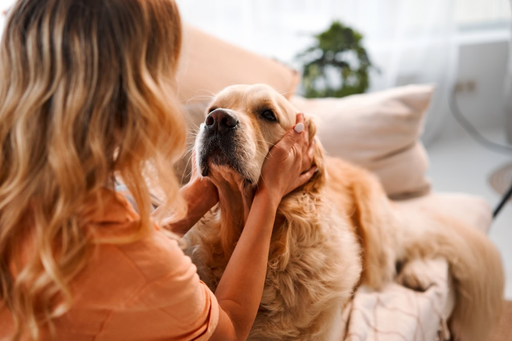 female-blonde-caressing-furry-dog-behind-ears