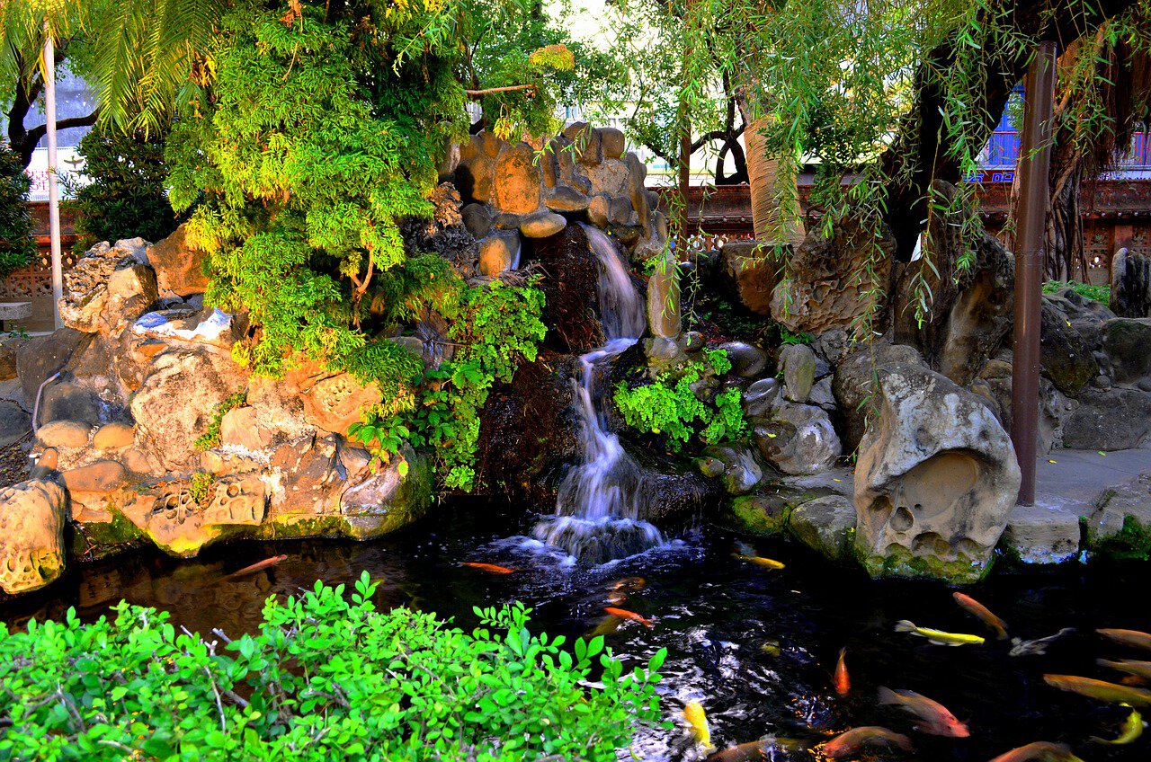 koi pond outdoors