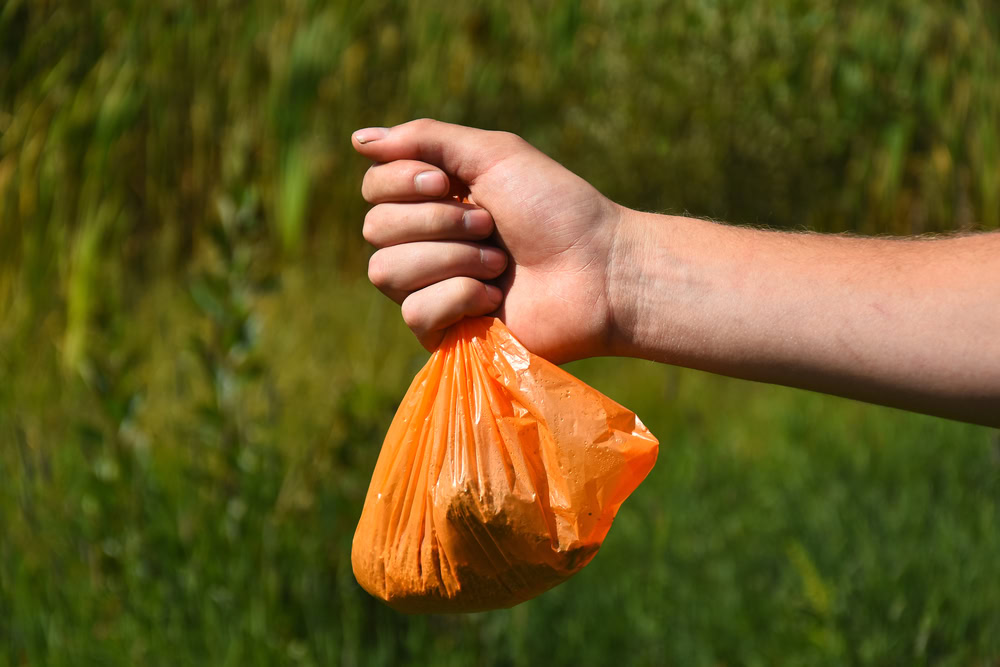 Dog poop Bag