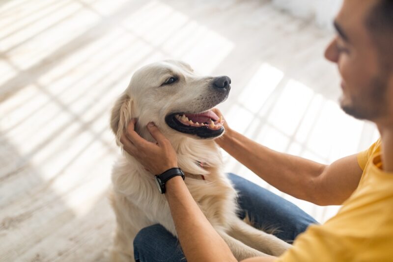 Happy Dog Owner