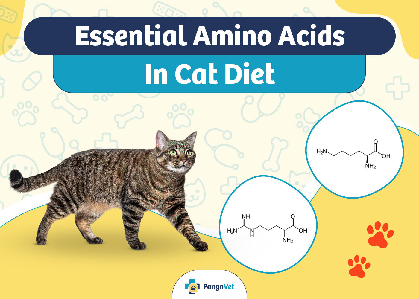 PangoVet_Essential Amino Acids in Cat Diet