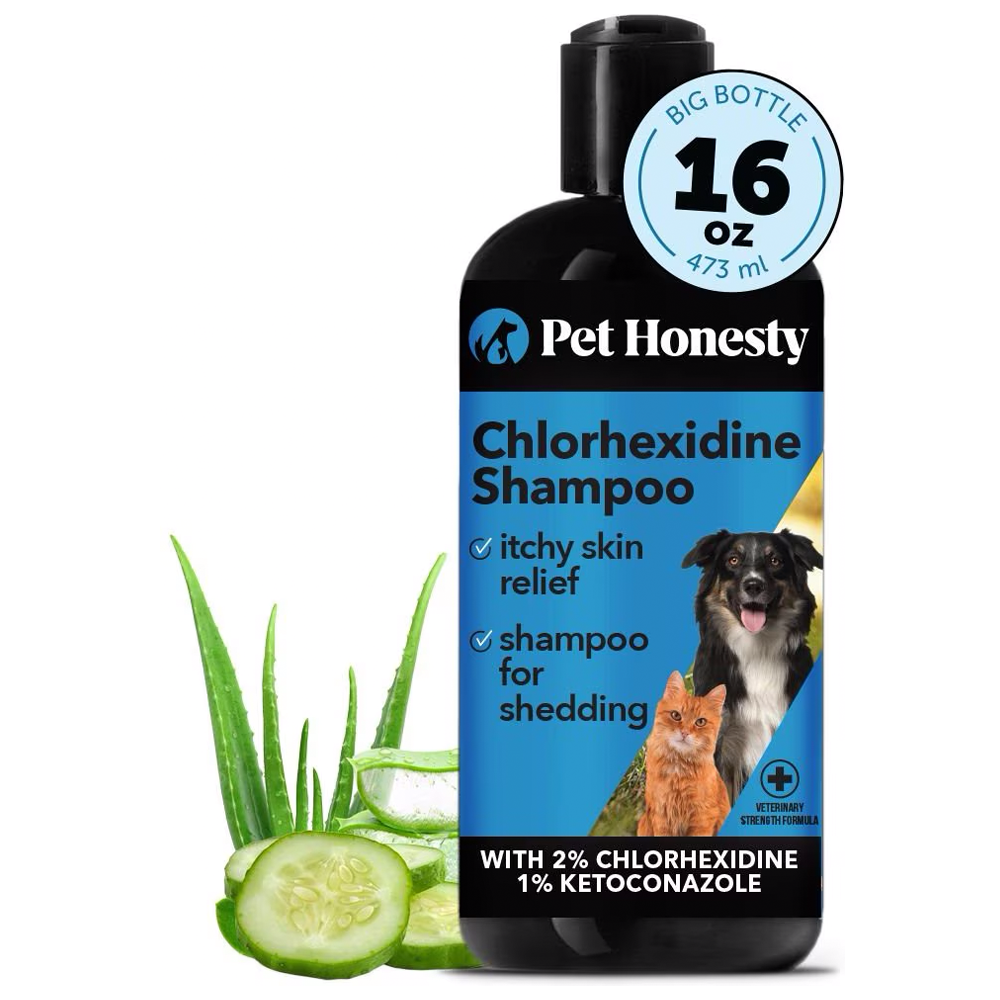 PetHonesty Chlorhexidine Antibacterial Shampoo Itchy
