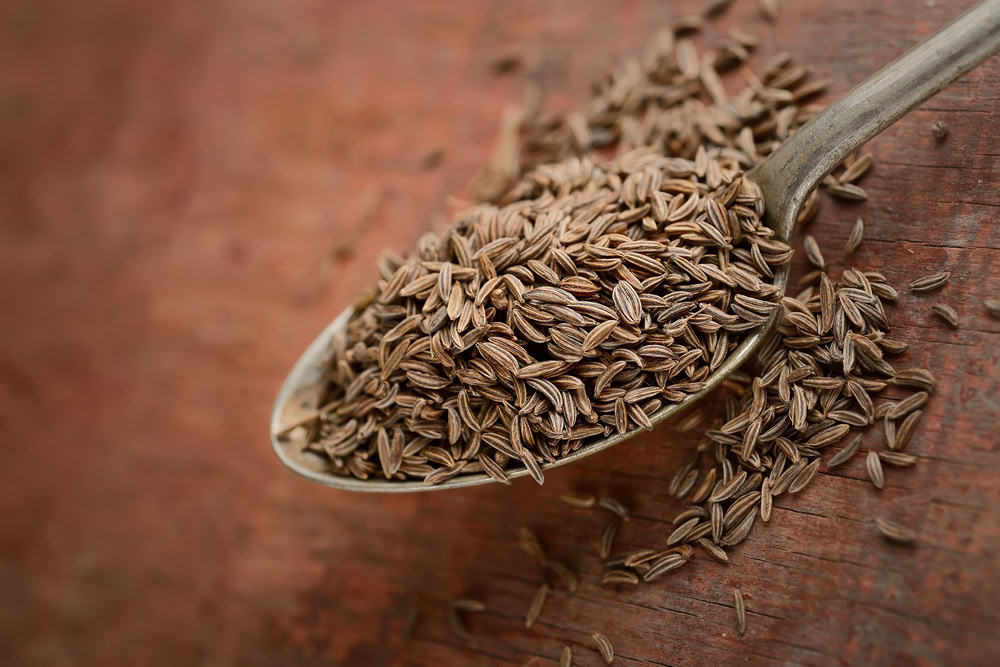 cumin in spoon