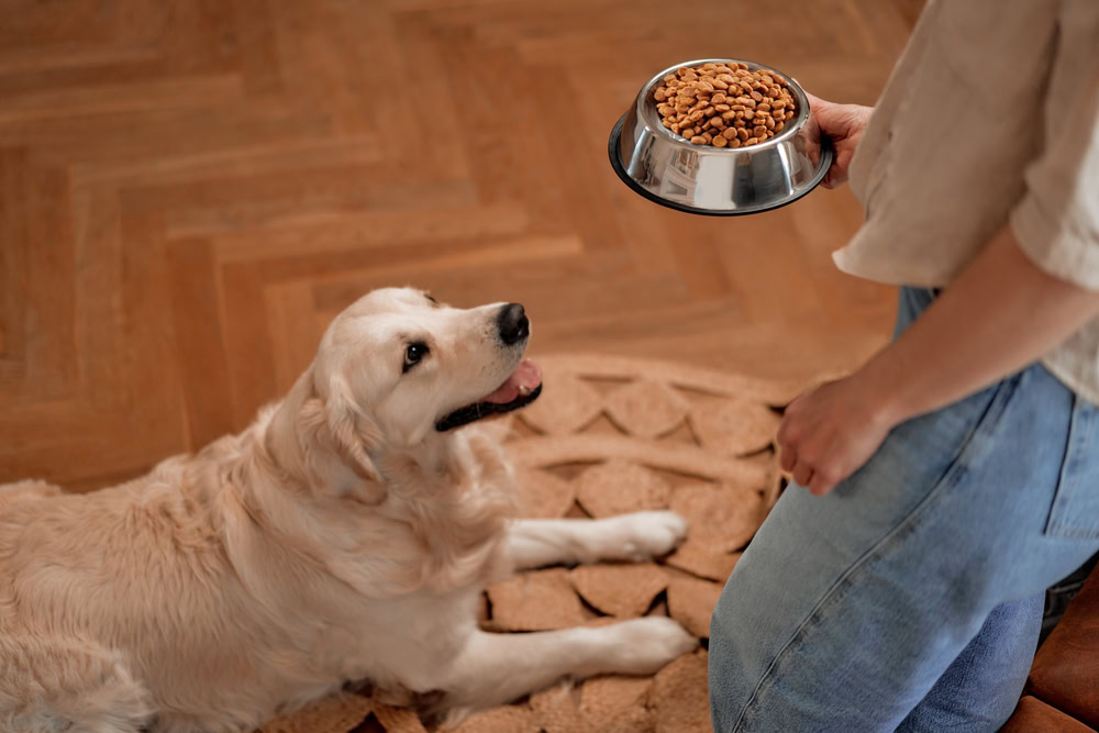 woman bringing a bowl of food for her dog