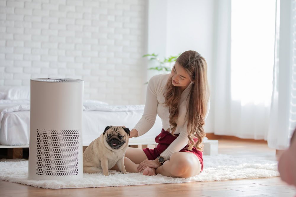 woman playing with a pug dog in a room with an air purifier 