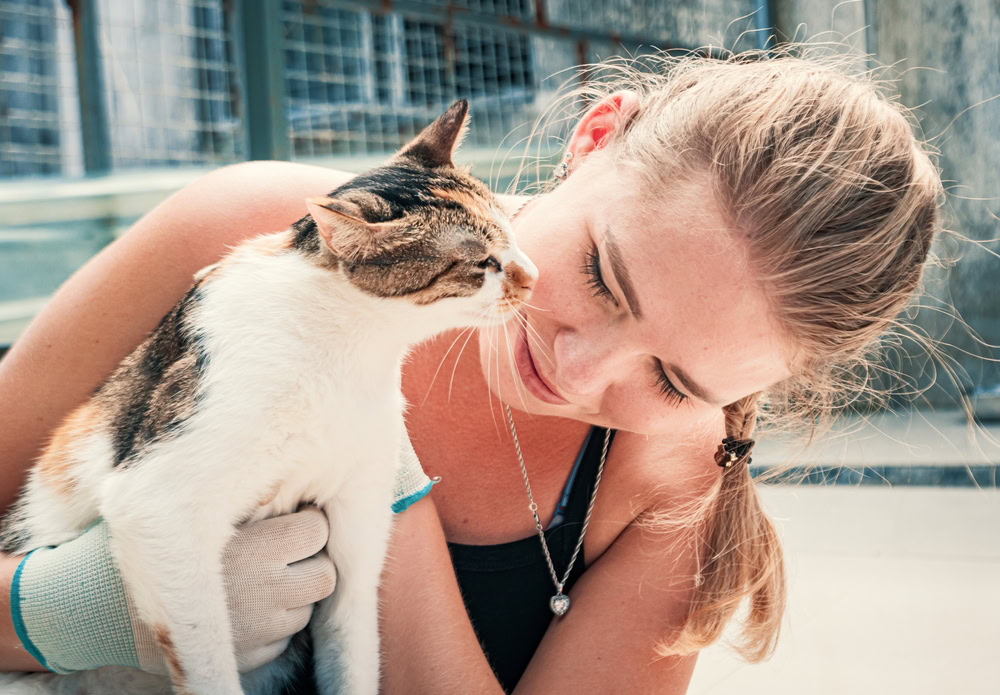 Female volunteer hugs cat in shelter adopt