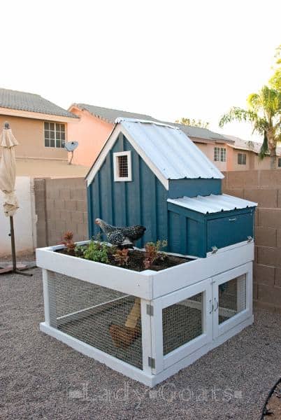 Building A Chicken House