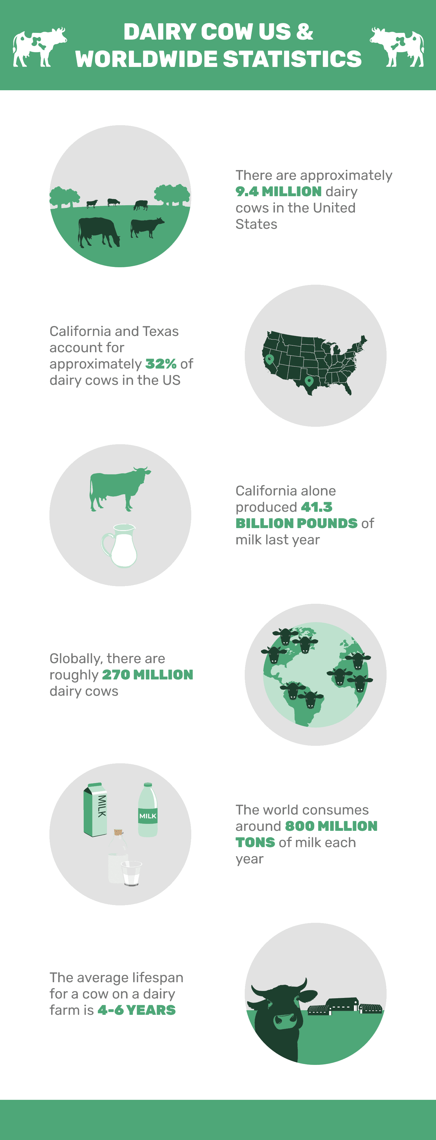 DAIRY_COW_US_&_WORLDWIDE_STATISTICS (1)