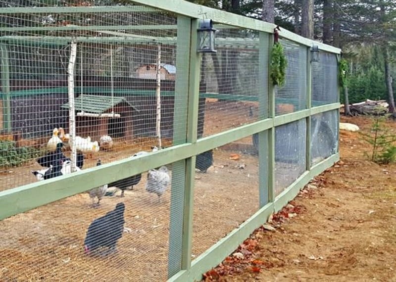 DIY Chicken Run