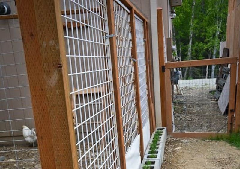 DIY Chicken Run