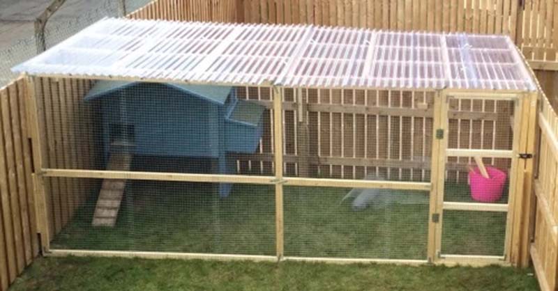 DIY Chicken Run