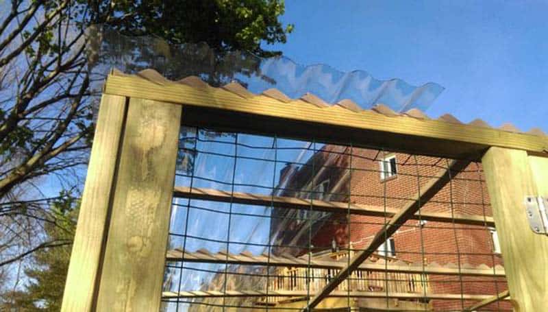 DIY Chicken Run