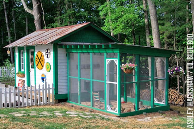 DIY Chicken Run