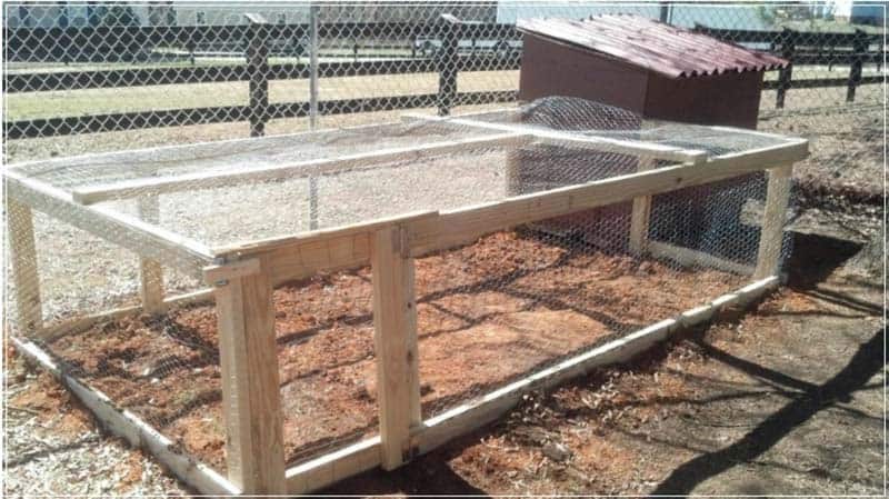 DIY Chicken Run