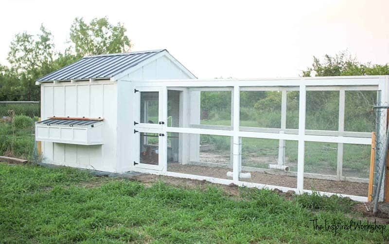 DIY Chicken Run