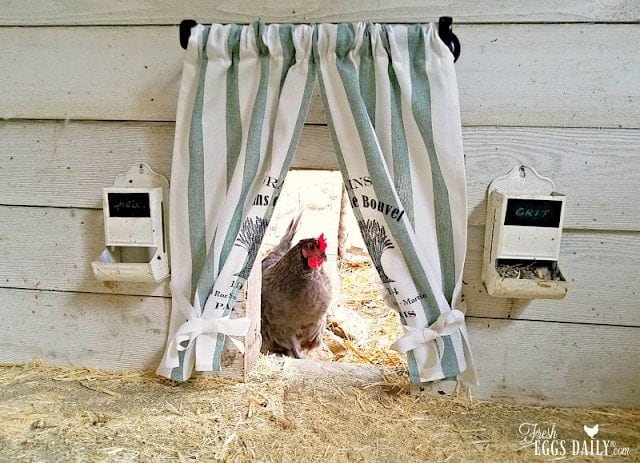 DIY Curtain Door