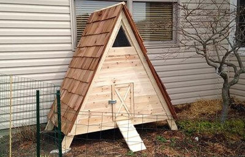 DIY Duck House