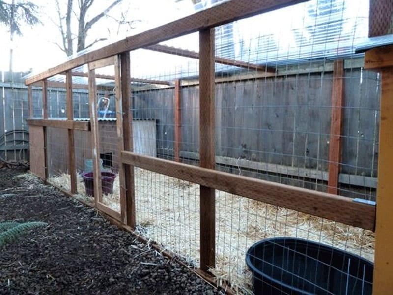 DIY Duck House
