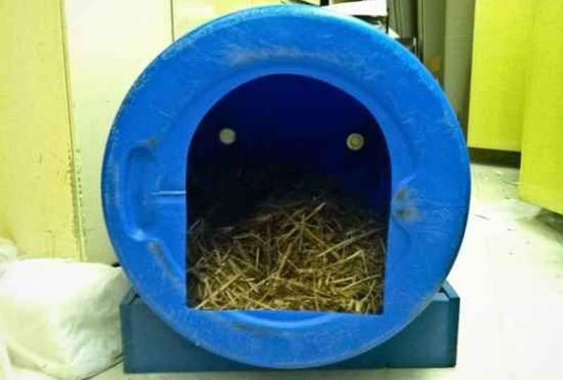 DIY Duck House