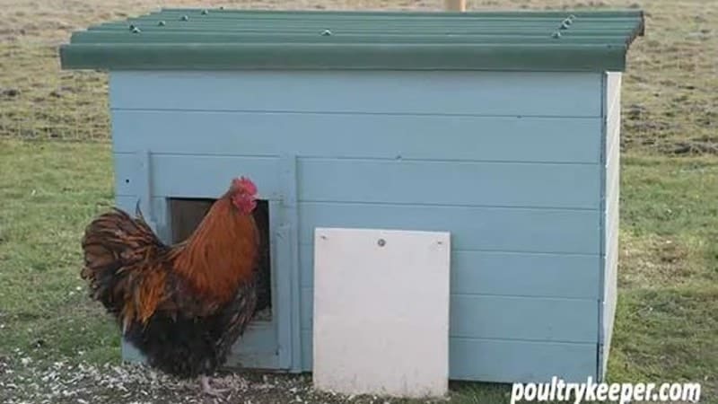 DIY Duck House