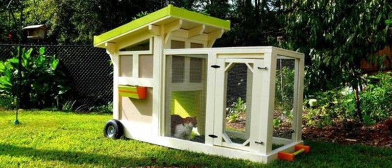 DIY Duck House