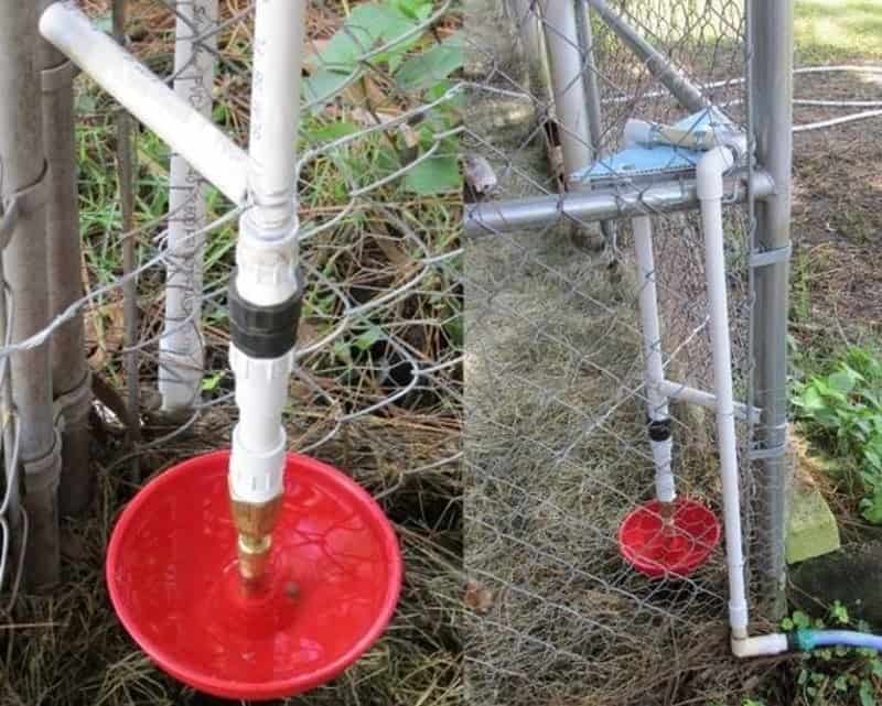 DIY Duck Waterers