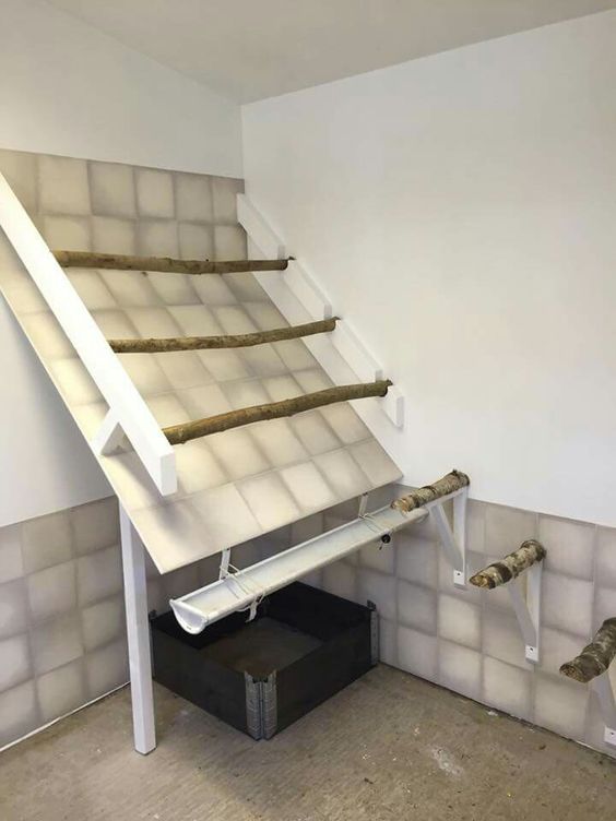 DIY Gutter Roosting Bar