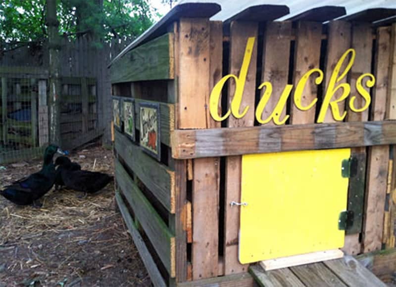DIY Rustic and Moveable Duck House