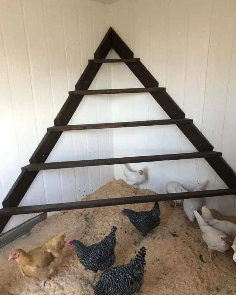 DIY Triangle Roosting Bar