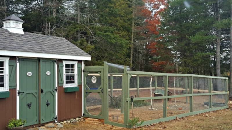 How to Build a Chicken Run1